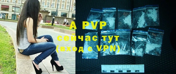 гашик Баксан
