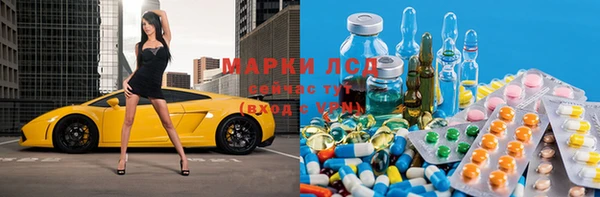 гашик Баксан